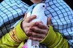 تشییع پیکر مطهر پنج شهید گمنام در تبریز‎
