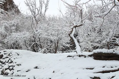 اولین برف زمستانی در روستای رزگ خراسان جنوبی