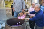 جشنواره گل و گلاب محمدی - سمنان‎‎