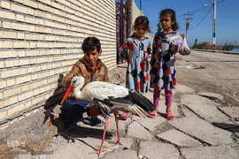 پناه آوردن پرندگان تالاب شادگان به کودکان/ خوزستان