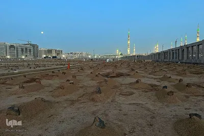 زائران بین‎المللی مدینه پیش از اعزام به مکه