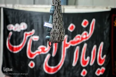 نمایشگاه «شمیم حسینی»