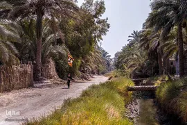 مشایه الی الکربلا
