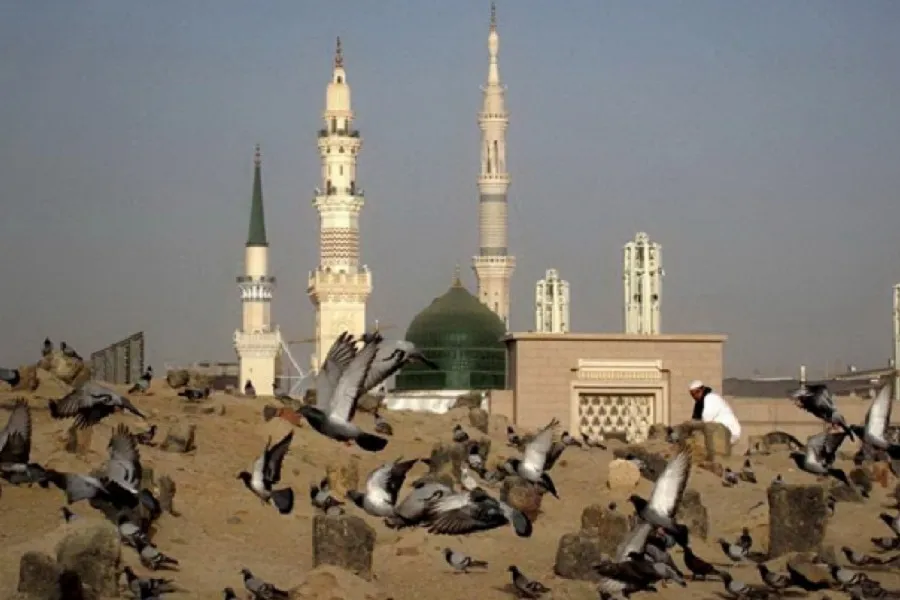 نماهنگ | غریب مدینه امام صادق (ع)
