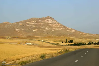 برداشت محصول گندم از مزارع شهرستان اهر