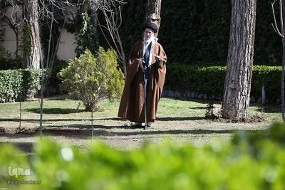 کاشت نهال توسط رهبر انقلاب