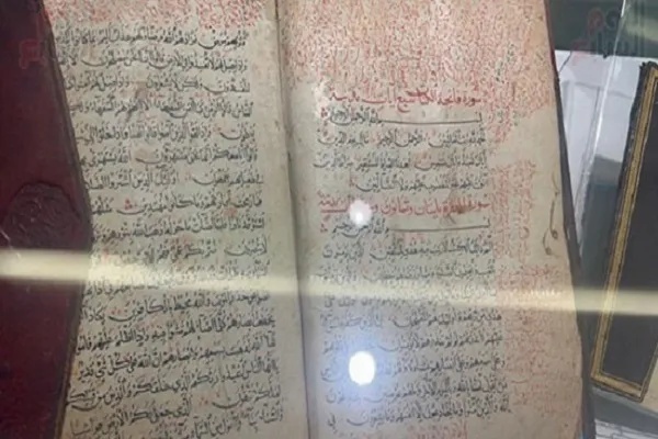 مصر: جامعة 