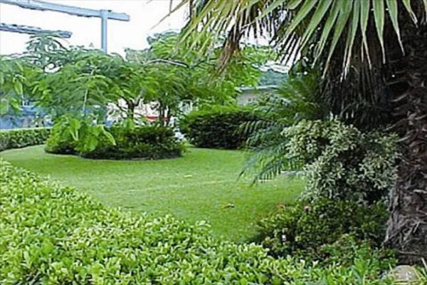 Il Giardino Coranico del Qatar celebra il 12° anniversario