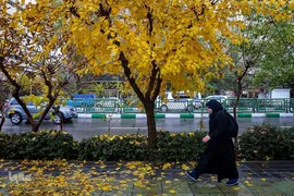 یک روز پاییزی بارانی
