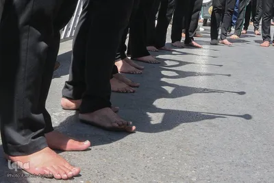 عزاداری شهادت امام رضا (ع) در مشهد