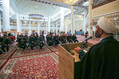 نقش حبیب‎‎
