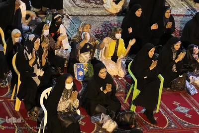 جشن میلاد امام رضا(ع) در سید علاءالدین حسین(ع) شیراز