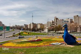 گل فرش تبریز