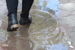 بیرجند پس از باران