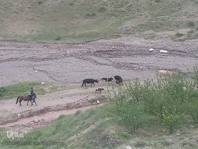 طبیعت زیبا و سحرانگیز مناطق گردشگری و روستایی اهر