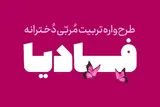 برگزاری دوره تربیت مربی دخترانه «فادیا» در قزوین