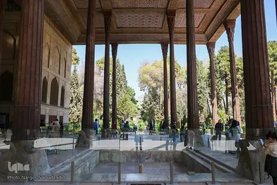 نرگس صمدزاده