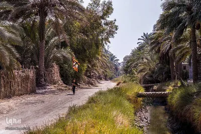 مشایه الی الکربلا