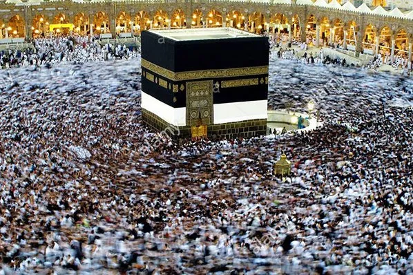 مشکلات چادرهای عرفات و منای حجاج ایرانی رفع شده است/ 67 هزار زائر در سرزمین وحی