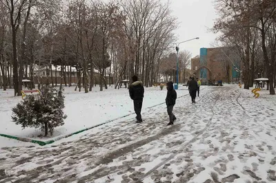 بارش برف در اهر