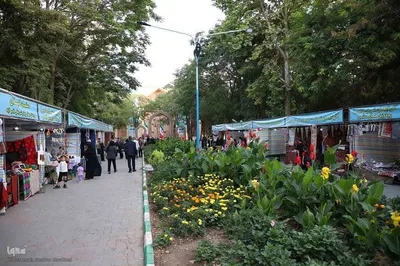افتتاحیه نهمین دوره جشنواره سراسری ورنی در شهرستان اهر
