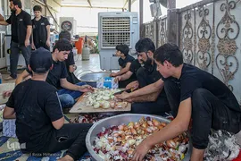پیاده روی اربعین۱