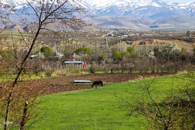طبیعت بهاری شهرستان اهر