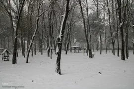 ریشه در خاک، سمبل مقاومت و ایستادگی