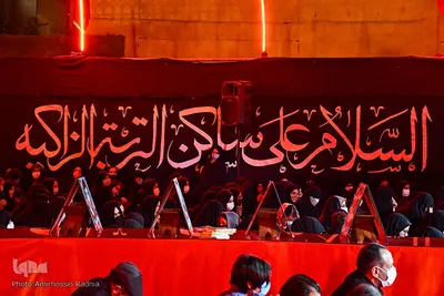 امیرحسین رادنیا
