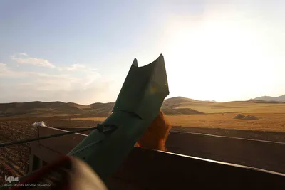 برداشت محصول گندم از مزارع شهرستان اهر
