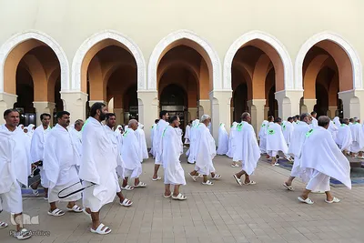 احرام در مسجد شجره