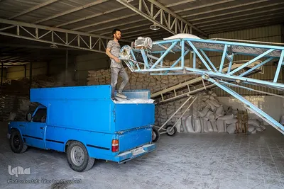 فصل برداشت گندم بزرگترین نعمت الهی از مزارع منطقه ارسباران
