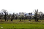 طبیعت بهاری شهرستان اهر
