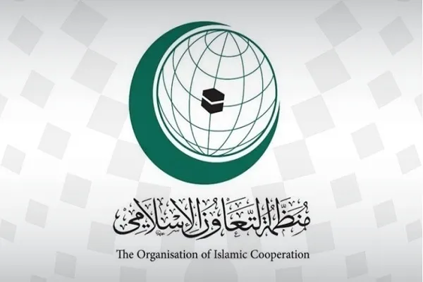 میزبانی سازمان همکاری اسلامی از نشست مجازی مسلمانان روهینگیا
