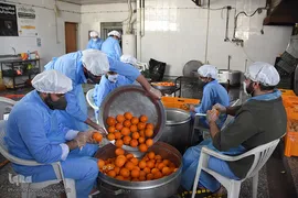 خدمت رسانی گروه های جهادی طلاب و روحانیون سمنان به بیماران کرونا