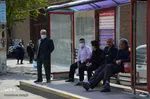فعالیت اتوبوس‌های تبریز با رعایت دستورالعمل‌های بهداشتی