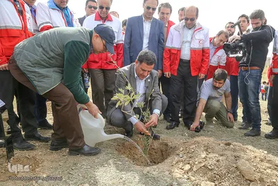 کاشت نهال صلح در بوستان طبیعت پردیسان توسط اعضای هلال احمر