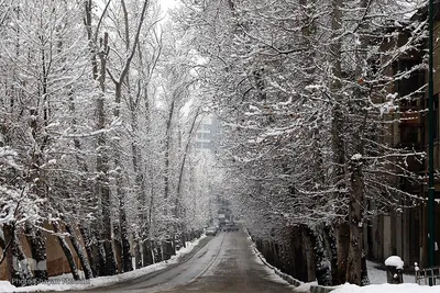 تهران برفی