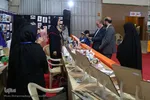 نمایشگاه هنری «شهردخت» در پل تاریخی شهرستان