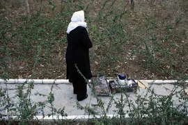 روز طبیعت در تهران
