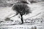 بارش برف پاییزی در ارتفاعات و مناطق روستایی اهر