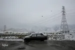 بارش اولین برف پاییزی در مشهد
