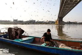 پرندگان مهاجر کارون