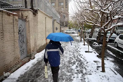بارش برف زمستانی در تهران