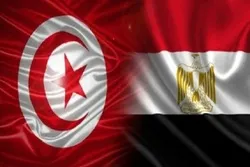 Egypt Rebukes Turkey in Spat with EU after Executions