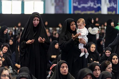 همایش شیرحوارگان در کرج