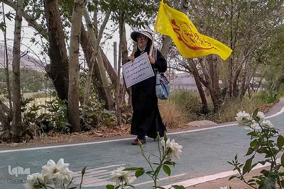شادپیمایی و تجمع بزرگ بانوان زهرایی در شیراز