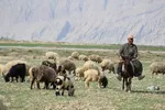 پانزدهم مهر؛ روز ملی روستا و عشایر