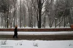 ریشه در خاک، سمبل مقاومت و ایستادگی