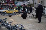 چهارراه کبوترها‎‎